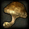 Lion Mushroom